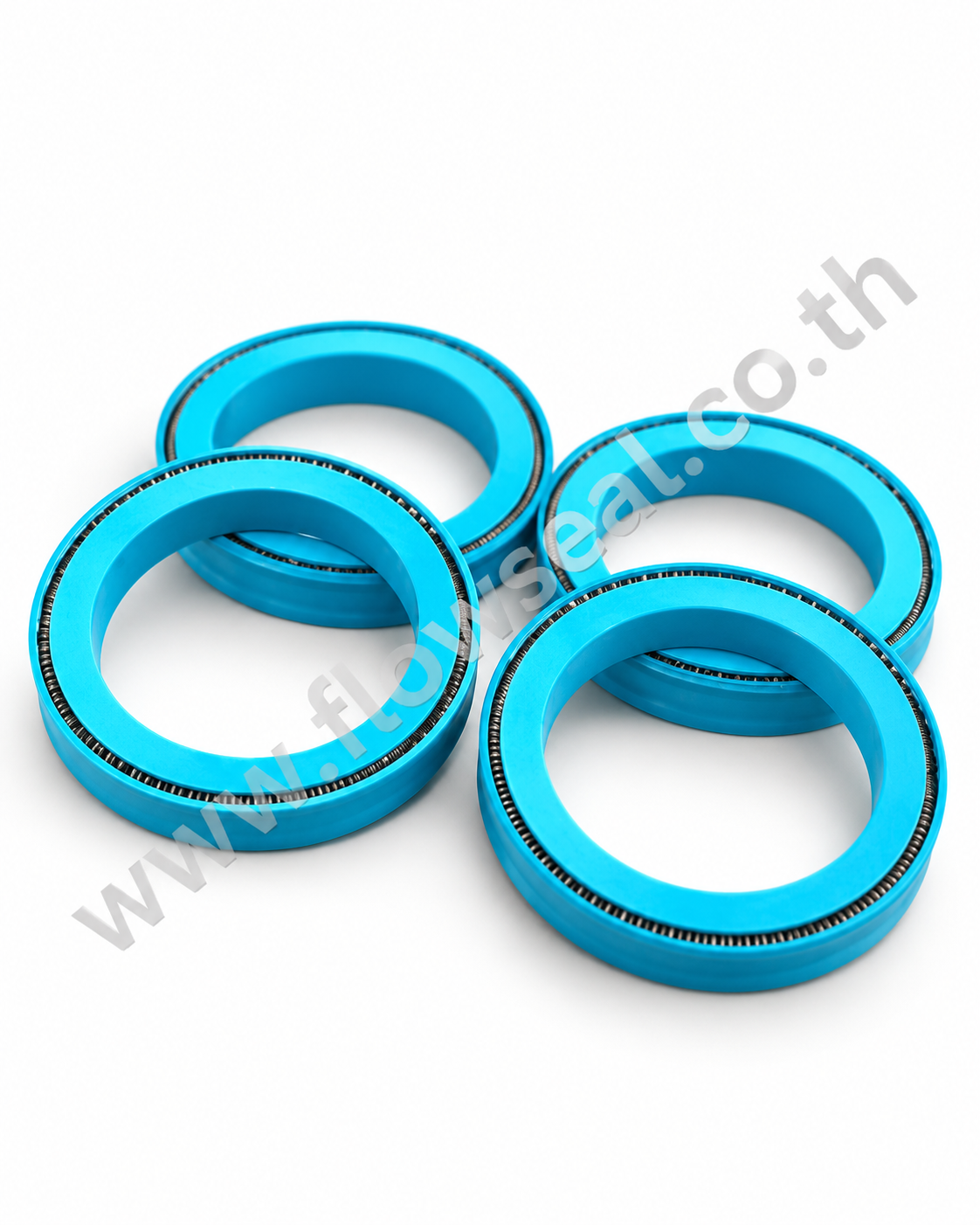 ซีล PTFE มีสปริง 2 ด้าน Double Sided Spring Energized Seal