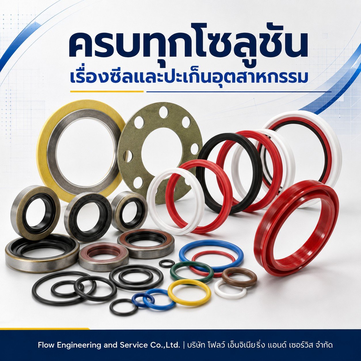 ซีลและปะเก็นอุตสาหกรรม O-Ring Oil Seal Hydraulic Seal Machined Seal Spiral Wound Gasket และ Kammprofile จาก Flow Engineering