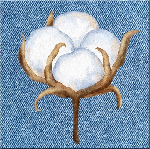 รู้จักเส้นใยแต่ละชนิดและการดูแลรักษาอย่างถูกวิธี