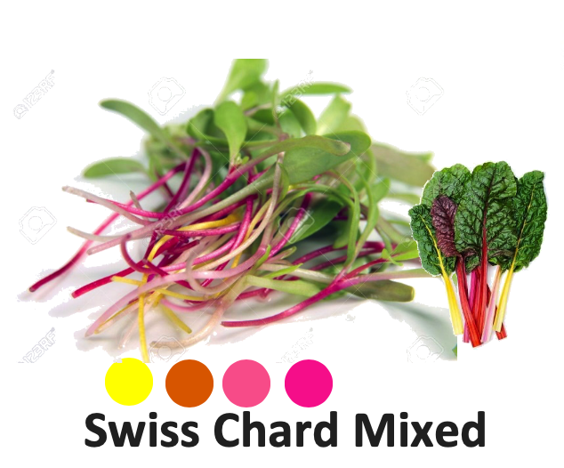 Mix Swiss Chard มิกซ์ชาร์ดสวิส