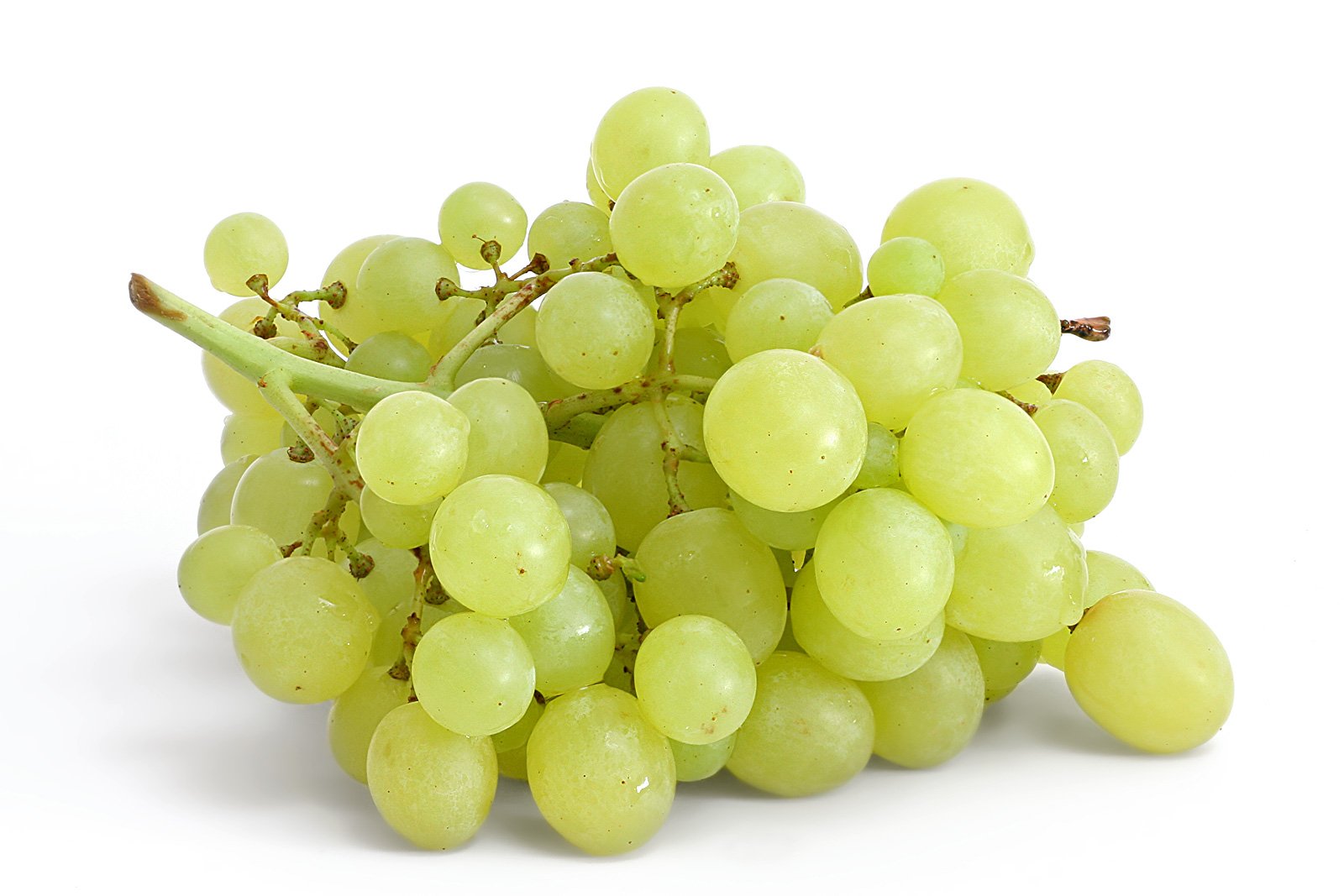 Green grape องุ่นเขียว