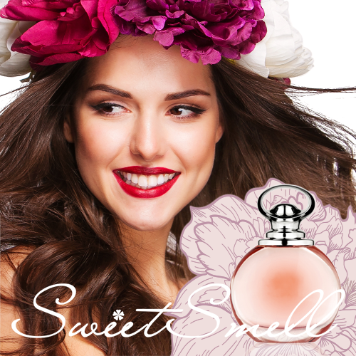 Morbi condimentum vel just at vehicula. Aenean congue Morbi condimentum vel just at vehicula. Aenean congue