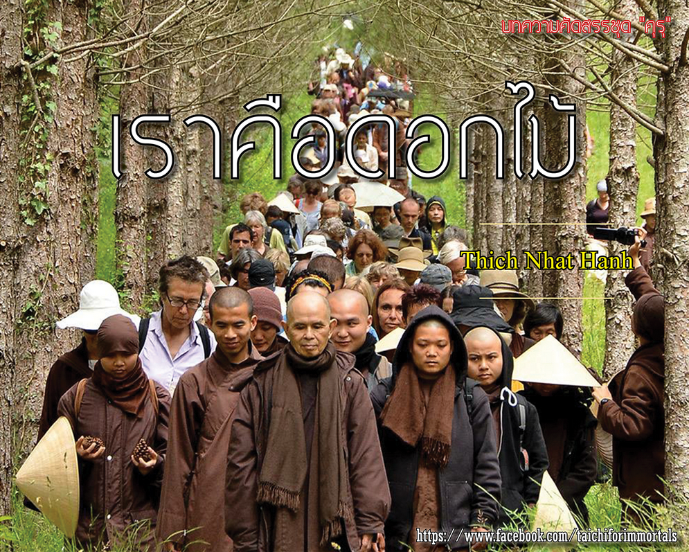 เราคือดอกไม้ เราคือดอกไม้