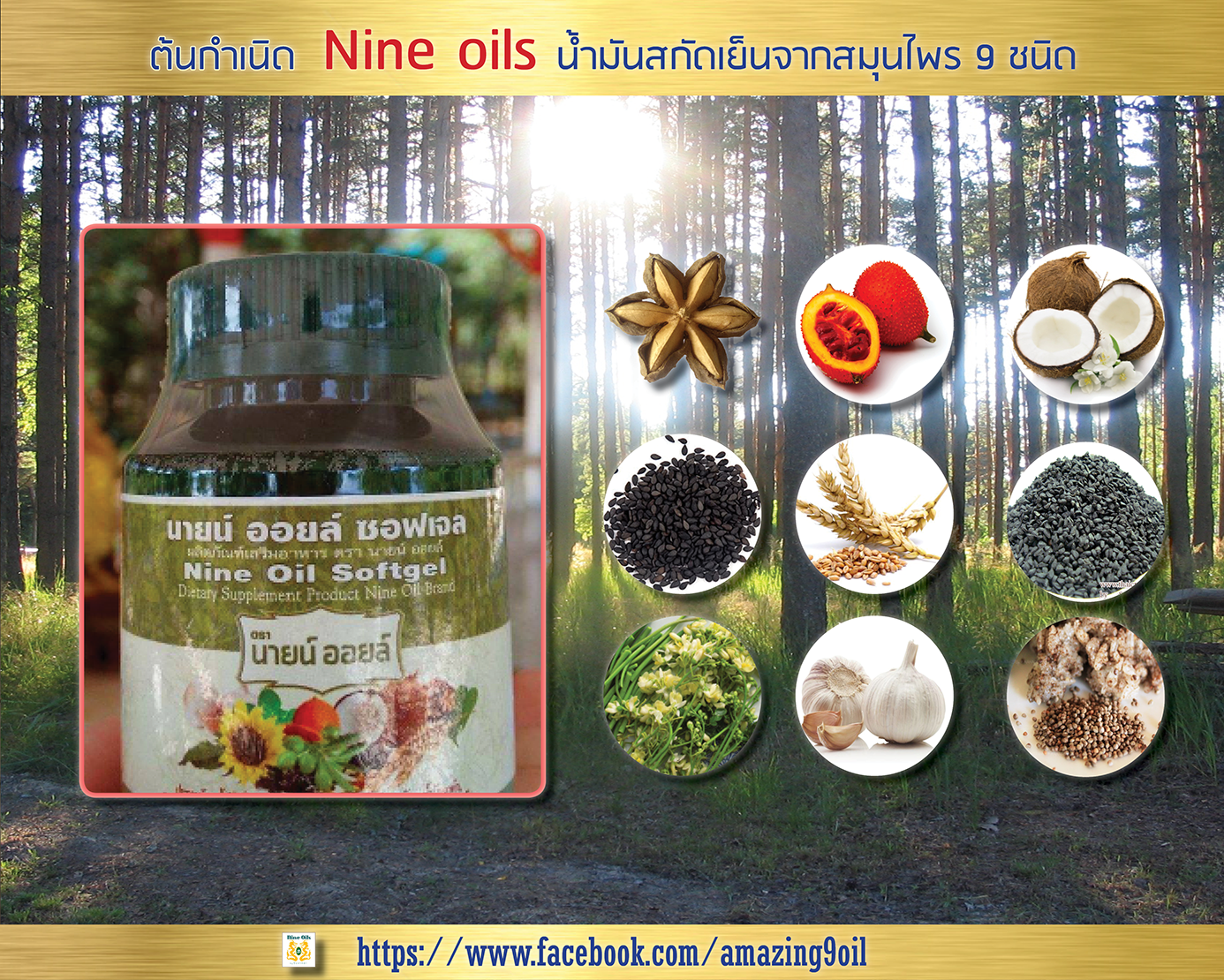 Amazing Nine-Oils (ต้นกำเนิด Nine-Oils) Amazing Nine-Oils (ต้นกำเนิด Nine-Oils)