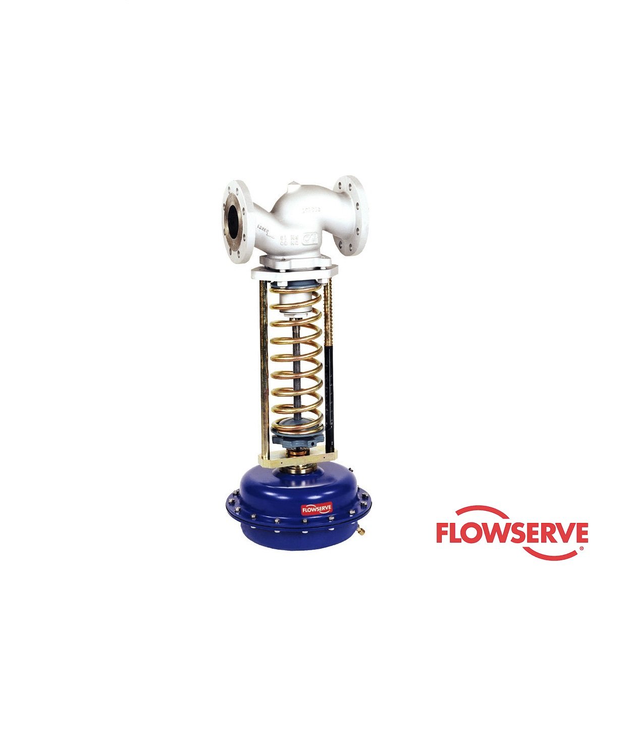 FLOWSERVE