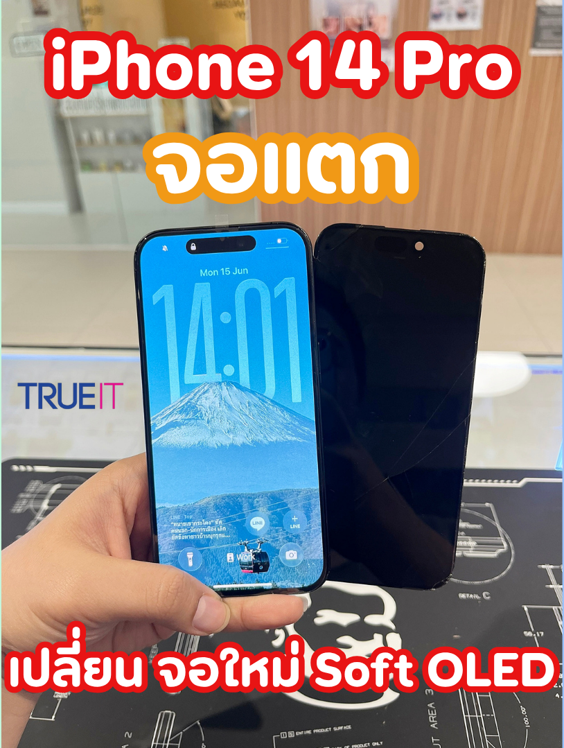 iPhone จอแตก... เลือกเปลี่ยนจอแบบไหนให้คุ้มค่าที่สุด? มาดูกันครับ!