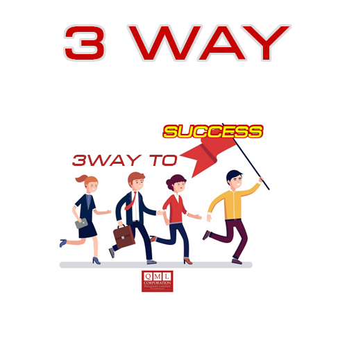 3 way to success 