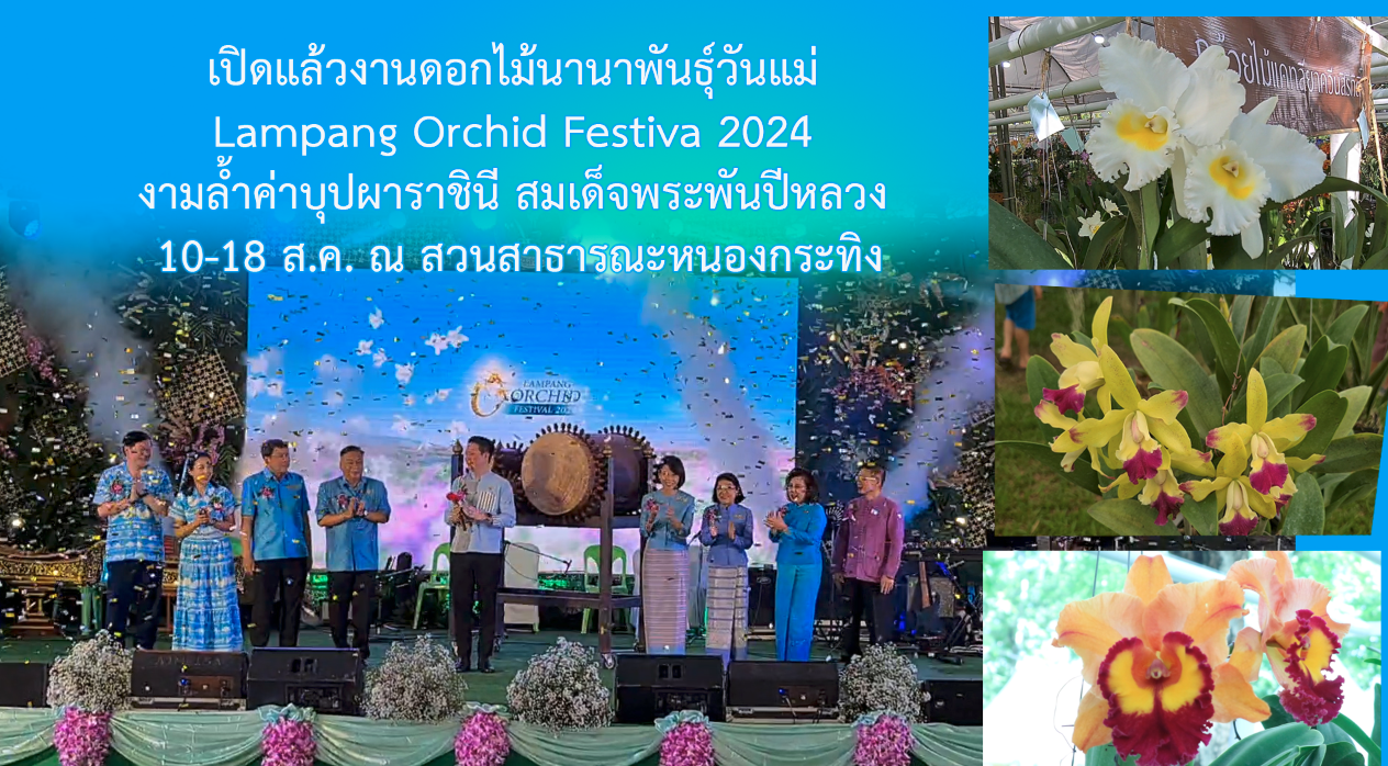 เปิดแล้ว!!! งานดอกไม้นานาพันธุ์วันแม่ Lampang Orchid Festiva 2024 งามล้ำค่าบุปผาราชินี สมเด็จพระพันปีหลวง10-18 สิงหา ชมความสวยงามของดอกกล้วยไม้แคทลียาควีนสิริกิตติ์ใหญ่ที่สุดในประเทศไทย