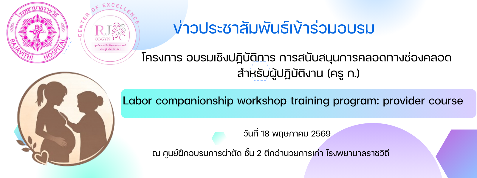 Labor companionship workshop training program: provider course