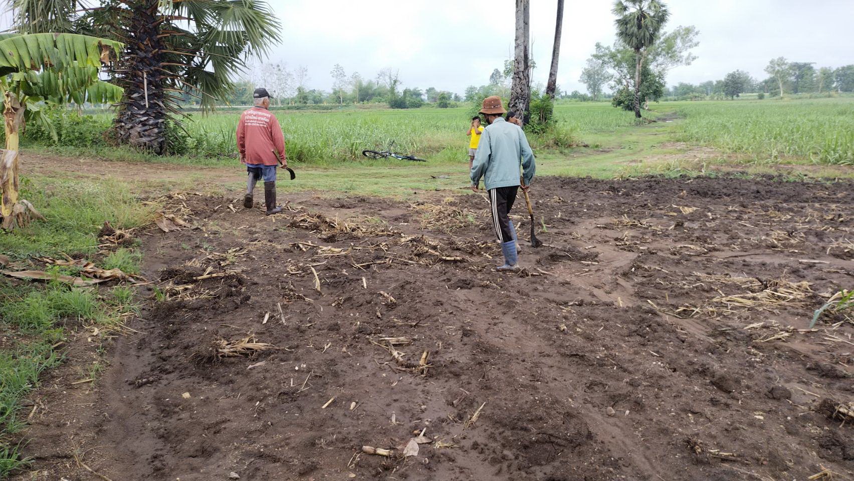 ไกล่เกลี่ยแนวเขตที่ดิน ไกล่เกลี่ยแนวเขตที่ดิน