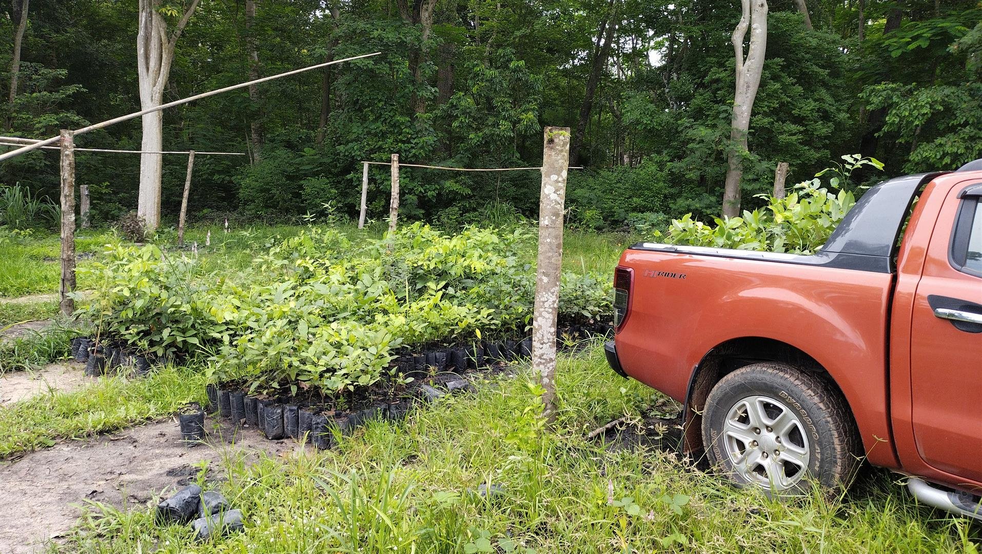 เราเริ่มต้นทำอะไรก่อนเมื่อได้เป็นผู้ใหญ่บ้านแล้ว เราเริ่มต้นทำอะไรก่อนเมื่อได้เป็นผู้ใหญ่บ้านแล้ว