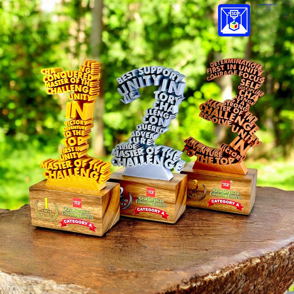 3D Award