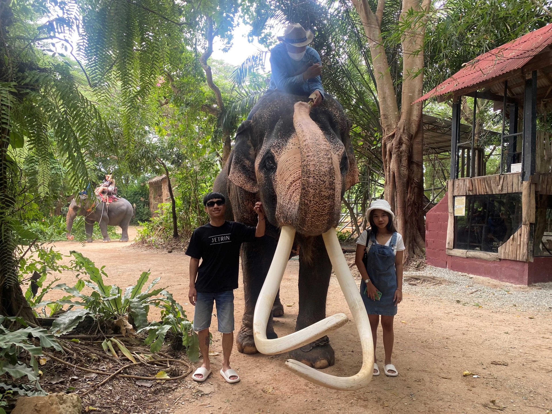 Elephant Village 