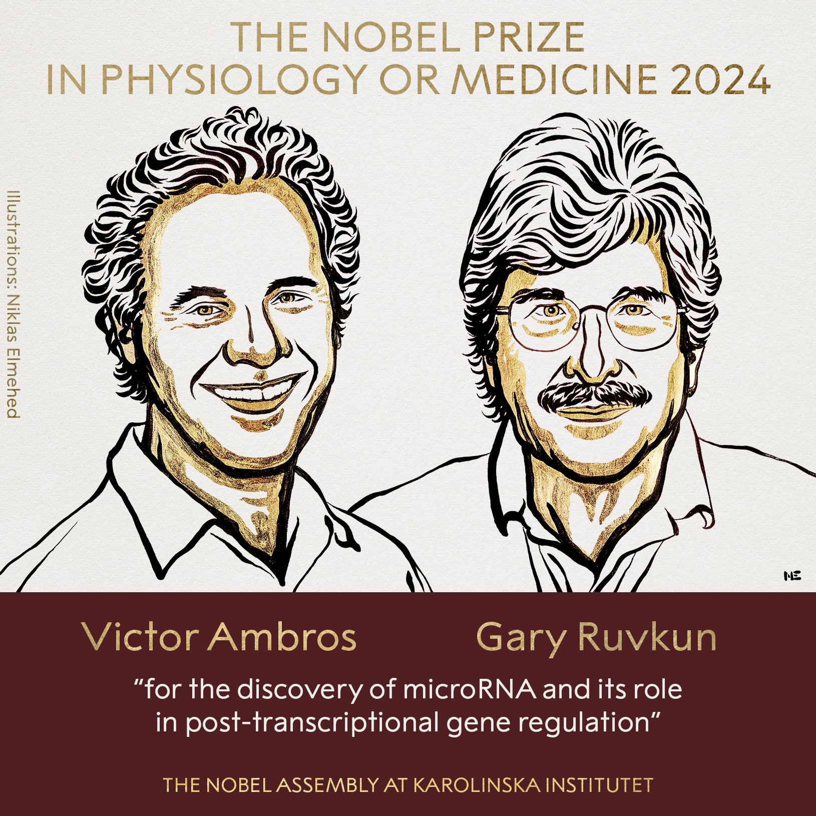 BREAKING NEWS The Nobel Assembly at the Karolinska Institutet has today decided to award the 2024 Nobel Prize in Physiology or Medicine to Victor Ambros and Gary Ruvkun for the discovery of microRNA and its role in post-transcriptional gene regulation.