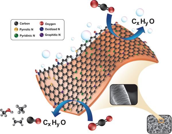 บทสรุปผู้บริหาร: การใช้ประโยชน์จาก CO2 และความยั่งยืนด้านสิ่งแวดล้อม