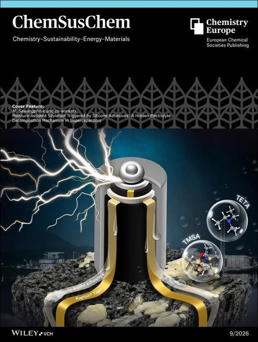  Congratulations to the VISTECCEST research team on our latest Cover Feature in ChemSusChem￼