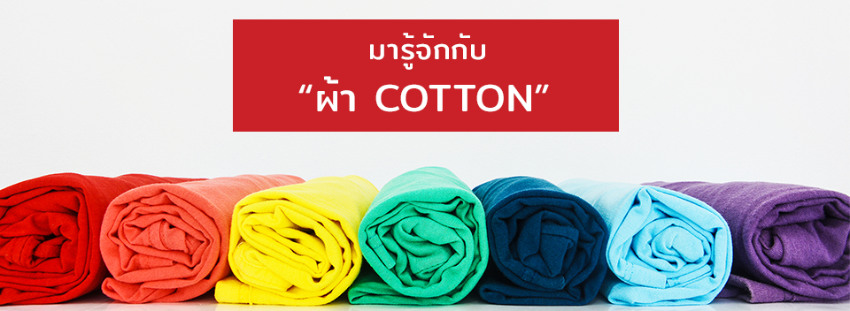 มารู้จักผ้า Cotton กันดีกว่า มารู้จักผ้า Cotton กันดีกว่า
