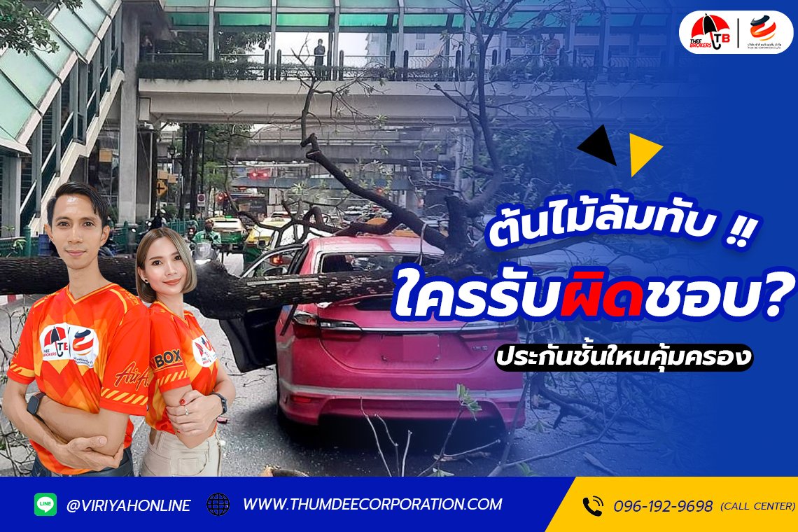 หากต้นไม้ล้มทับรถยนต์ประกันคุ้มครองใหม