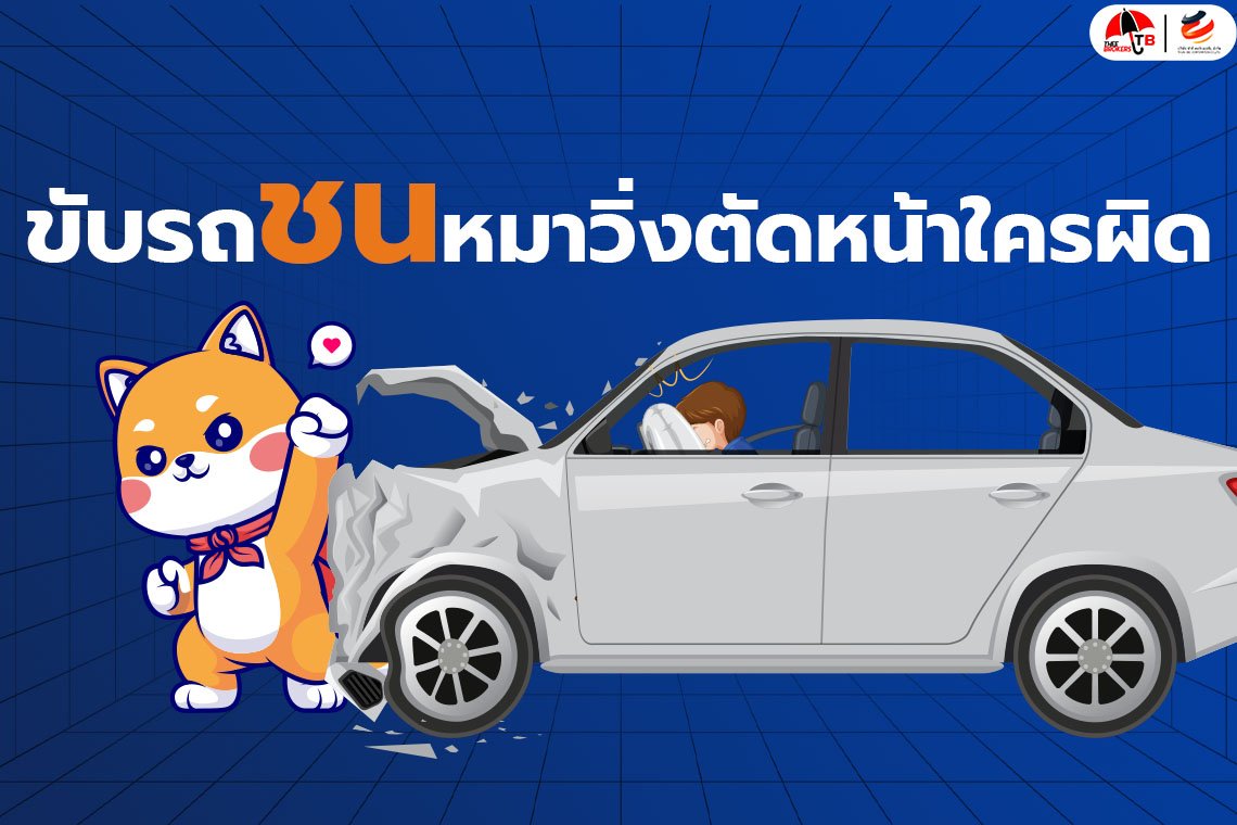 ขับรถชน ‘สุนัข’ ที่วิ่งตัดหน้า ใครผิด?