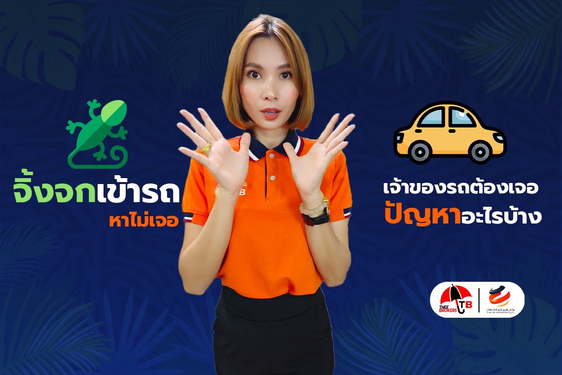 จิ้งจกตายในรถ หาศพไม่เจอ เจ้าของรถต้องเจอปัญหาอะไรบ้าง