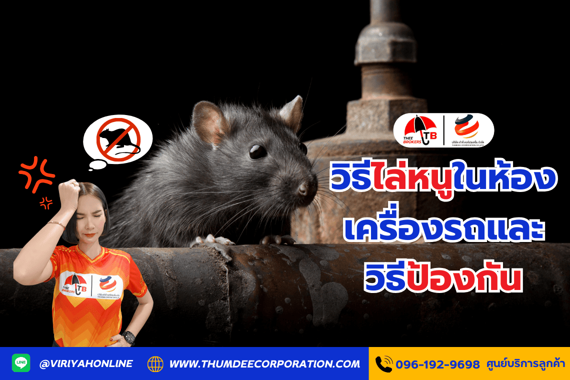 วิธีไล่หนูในห้องเครื่องรถและวิธีป้องกัน