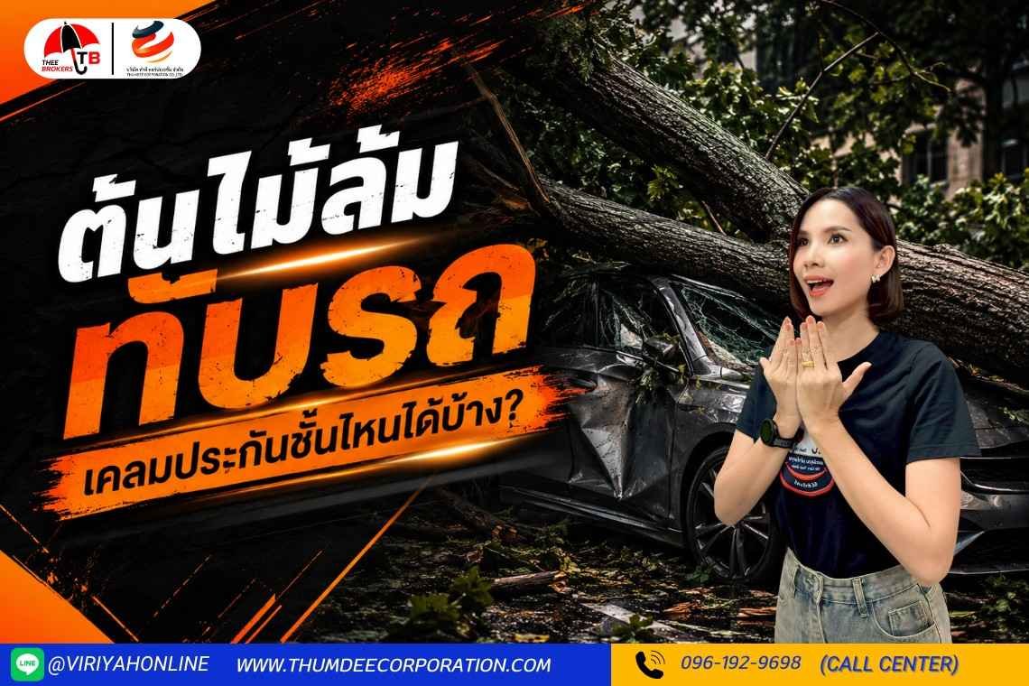 ต้นไม้หักล้มทับรถ เคลมประกันรถยนต์ได้มั้ย ใครเป็นคู่กรณี