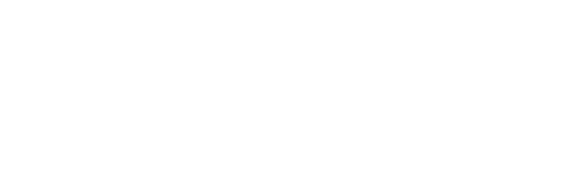 WLS LIMITED EDITION 