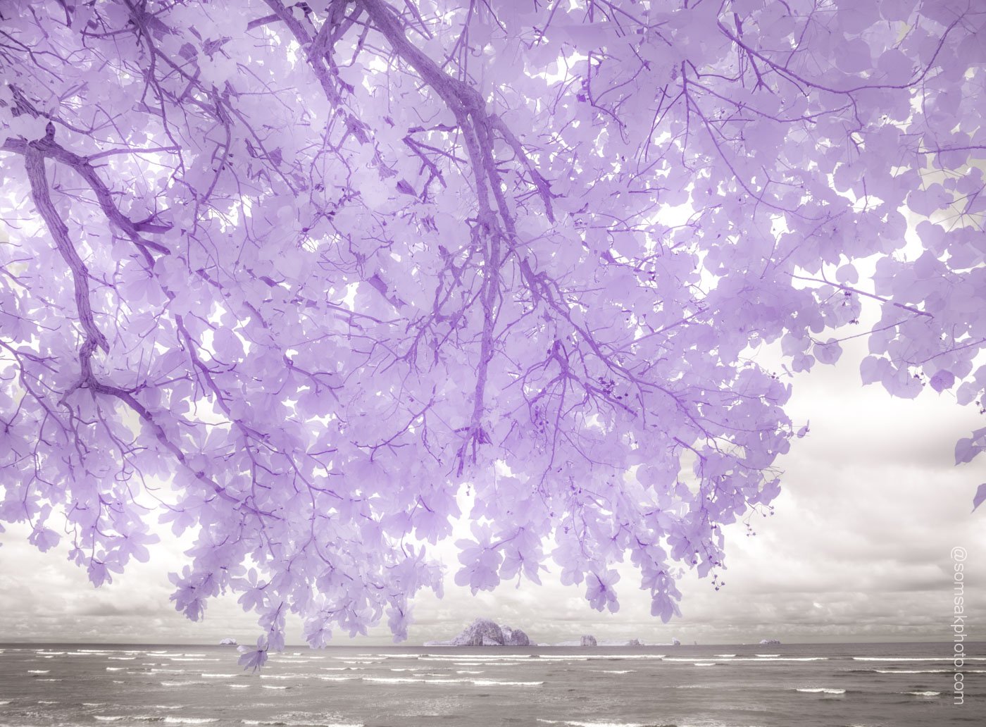 2563 เป็นปีที่ทุกคนคงจดจำไปอีกนาน  2563 เป็นปีที่ทุกคนคงจดจำไปอีกนาน