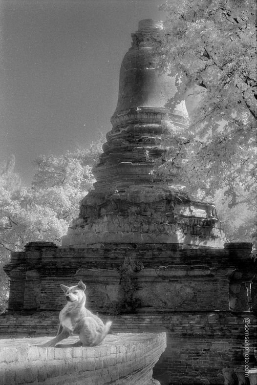 ตัวอย่างสำหรับมือใหม่ ตัวอย่างสำหรับมือใหม่