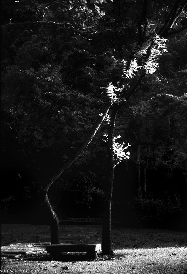 เราต่างหากที่รู้สึก ยามเราพร้อมและมีสมาธิพอ เราต่างหากที่รู้สึก ยามเราพร้อมและมีสมาธิพอ