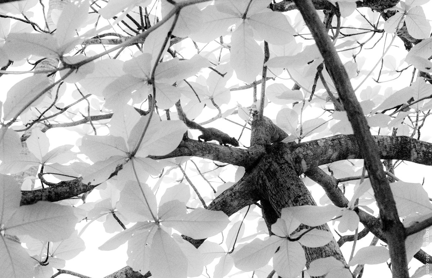 28 เมษายน 2563 28 เมษายน 2563