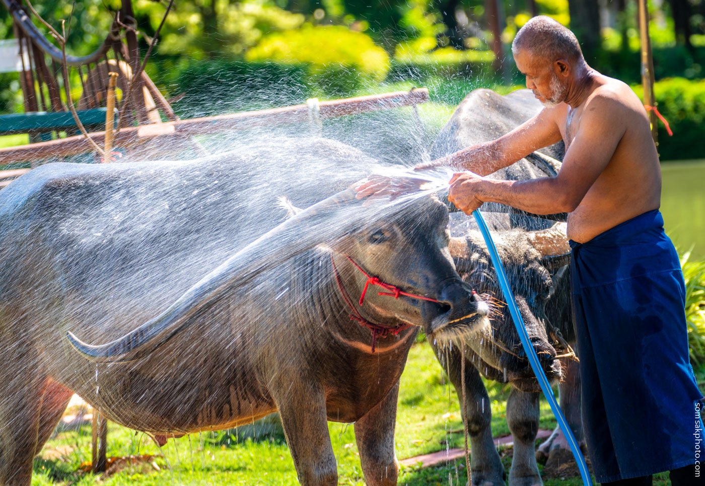 หาเรื่องเล่า สมศักดิ์ พัฒนพิฑูรย์ หาเรื่องเล่า สมศักดิ์ พัฒนพิฑูรย์