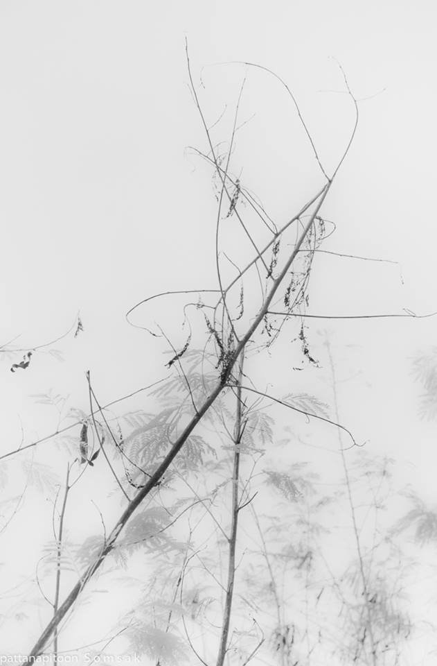 แนวคิด แนวคิด