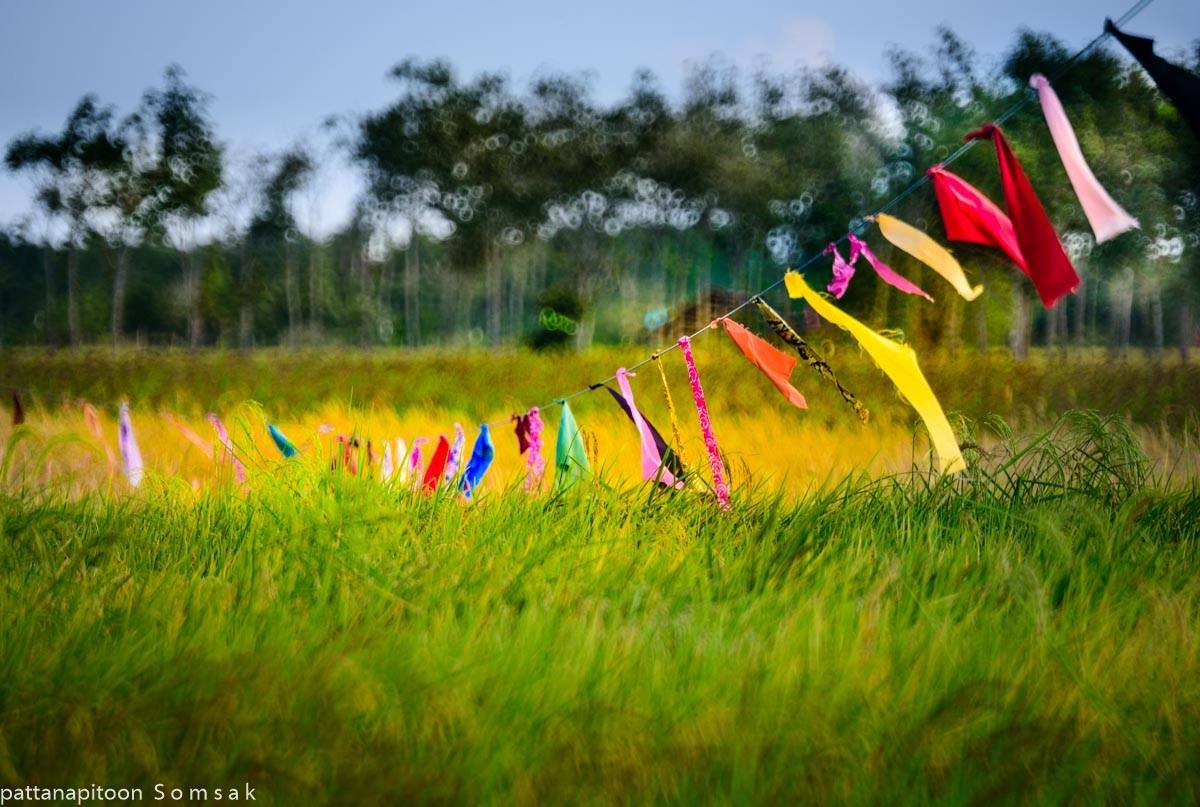 บึนทึกทาง บึนทึกทาง