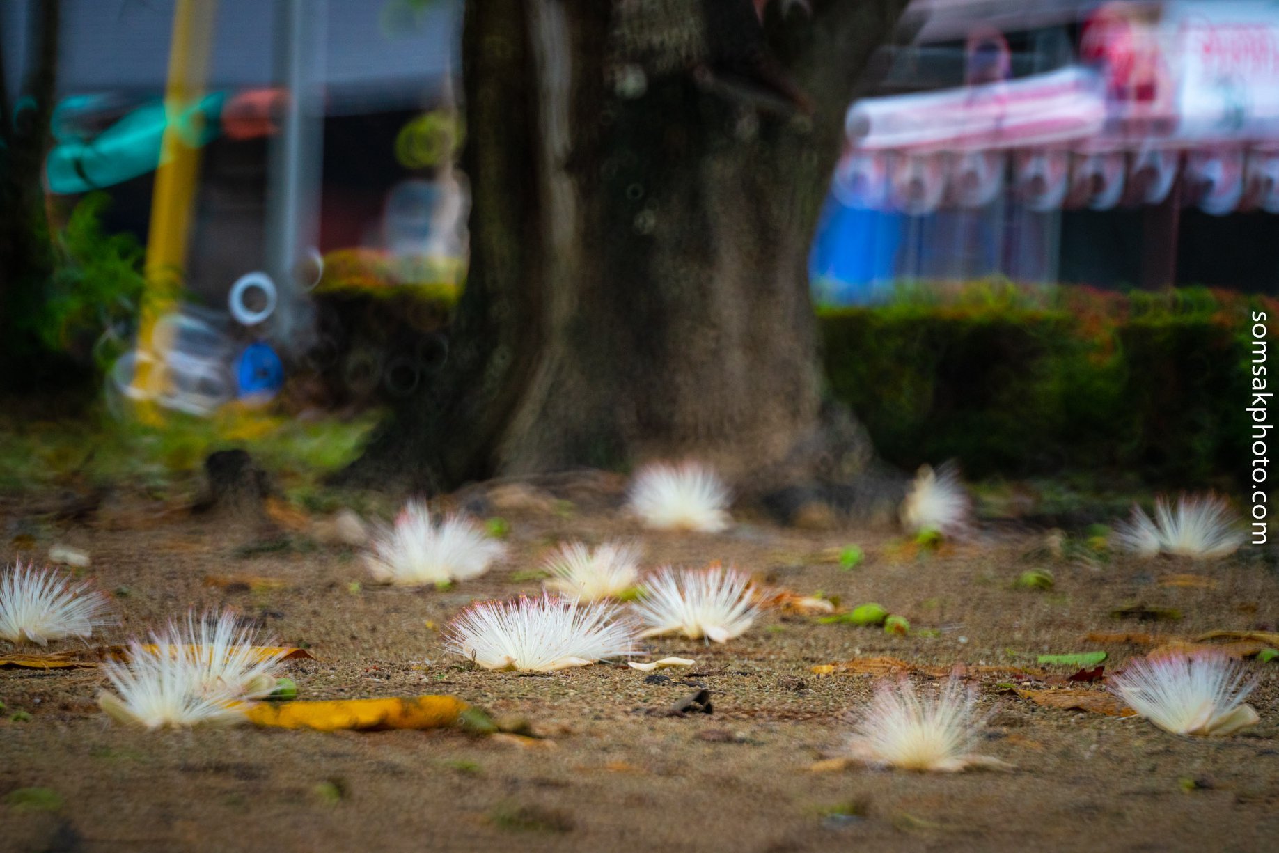 มากระบี่กี่ครั้งไม่เคยผิดหวัง มากระบี่กี่ครั้งไม่เคยผิดหวัง