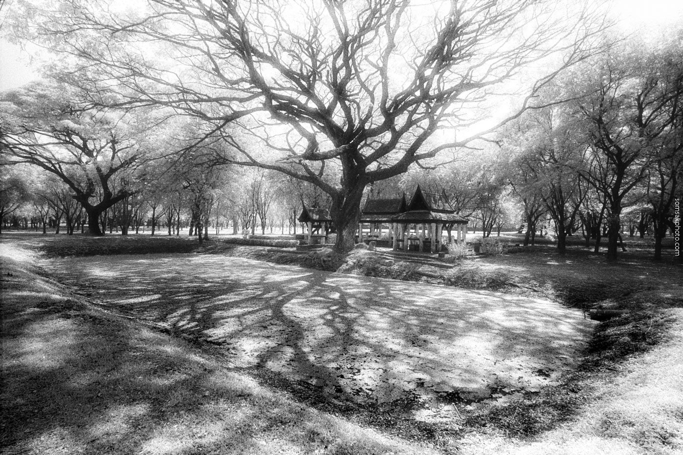 จากภาพในชุด "สุโข+ไท" จากภาพในชุด "สุโข+ไท"