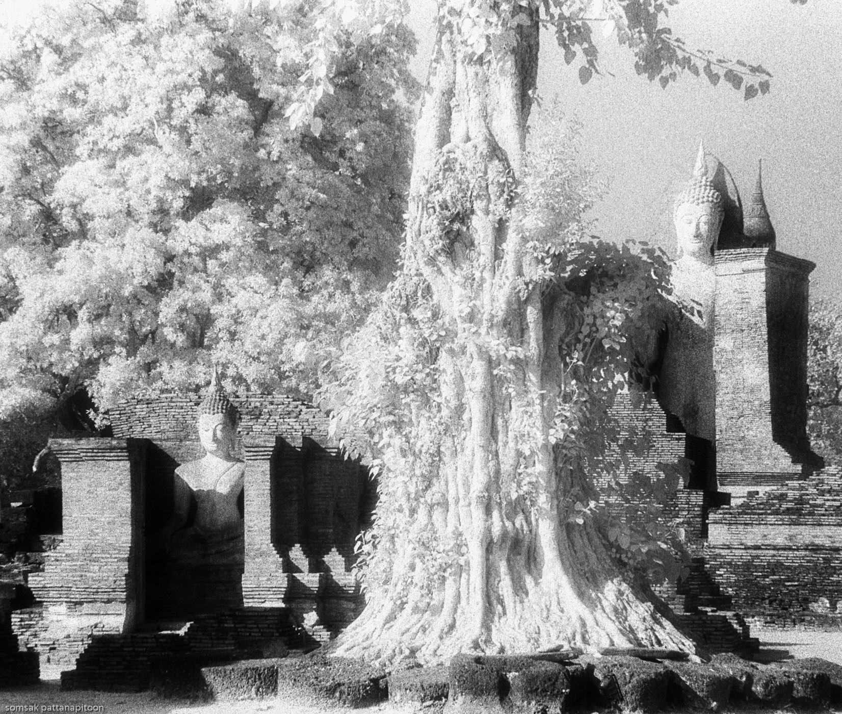 ภาพที่แยกเก็บไว้..... ภาพที่แยกเก็บไว้.....