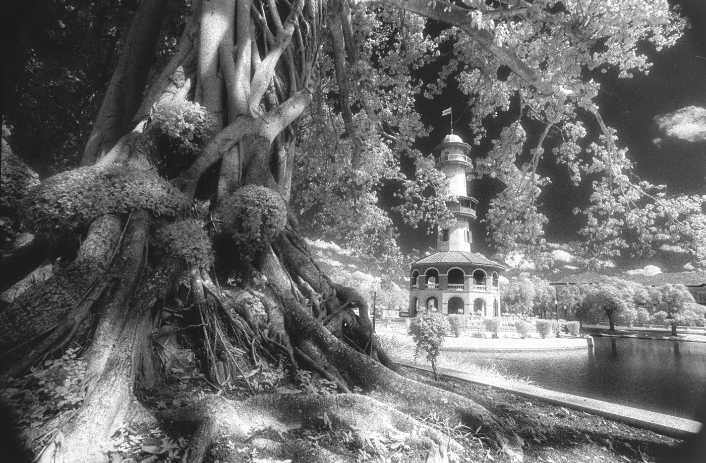 เจอแดดไม่ได้ดั่งใจ ขับรถกลับ กทม ทันทีก็ทำมาแล้วหลายครั้ง  เจอแดดไม่ได้ดั่งใจ ขับรถกลับ กทม ทันทีก็ทำมาแล้วหลายครั้ง