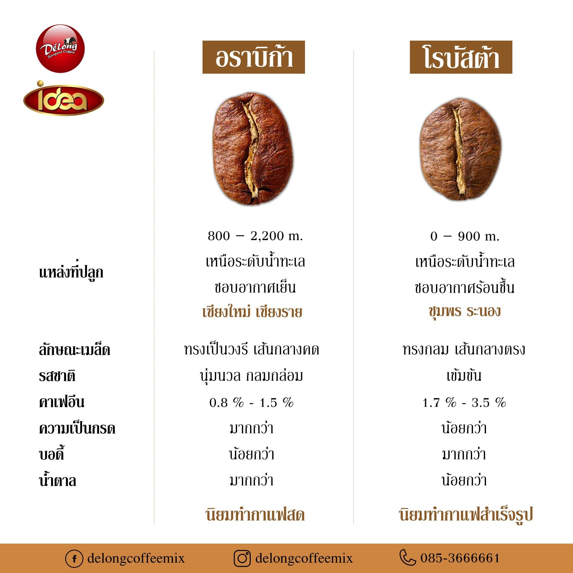 ความแตกต่างของกาแฟอราบิก้าและกาแฟโรบัสต้า  ความแตกต่างของกาแฟอราบิก้าและกาแฟโรบัสต้า