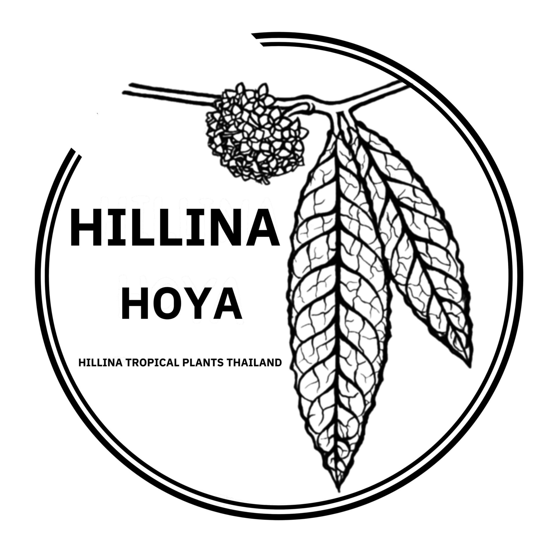 All Products Hillinahoya all-products-hillinahoya