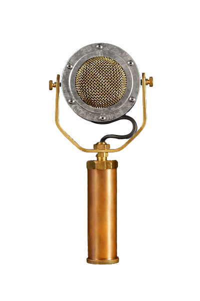 DELPHINA Condenser Microphone