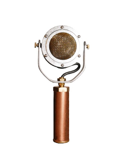 EDWINA Condenser Microphone