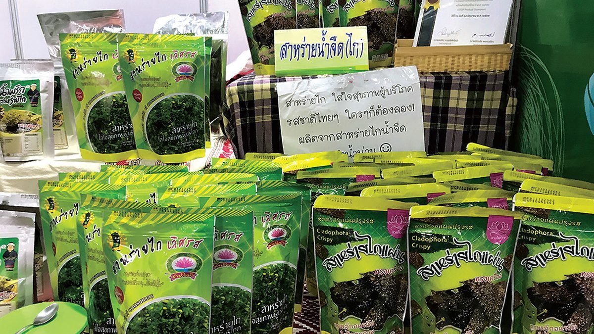 Taste seaweed, The taste of abundance of the Nan River.