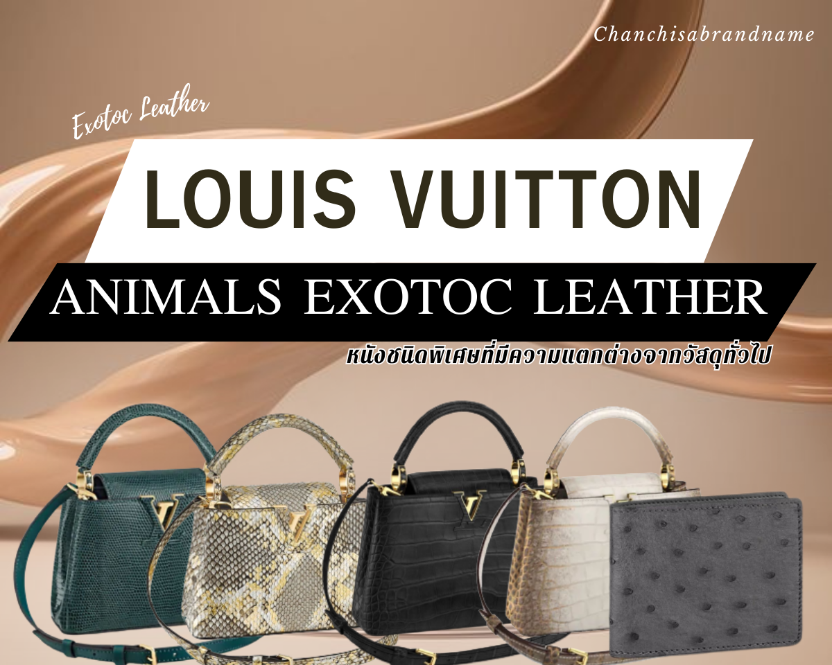 พามารู้จักกับ Louis Vuitton Leather : Animals Exotic