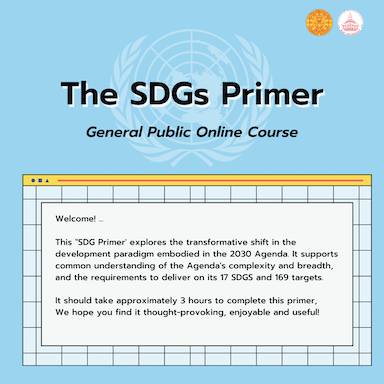 The SDG Primer The SDG Primer