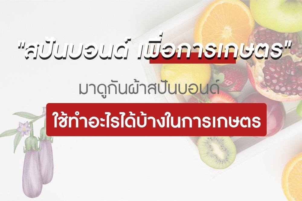 "สปันบอนด์ เพื่อการเกษตร" "สปันบอนด์ เพื่อการเกษตร"