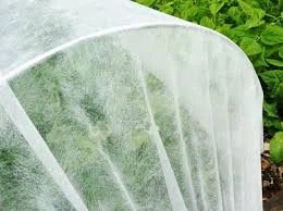 Nonwoven กับนวัตกรรมเพื่อการเกษตรยุคปัจจุบันนำมาใช้ทำอะไรบ้าง Nonwoven กับนวัตกรรมเพื่อการเกษตรยุคปัจจุบันนำมาใช้ทำอะไรบ้าง