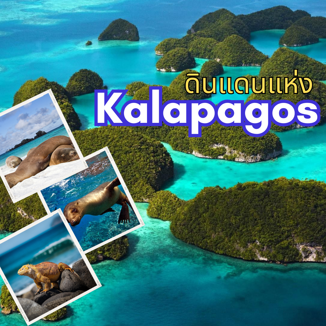 กาลาปากอส ดินแดนอัศจรรย์ ที่ต้องไปสักครั้งหนึ่งในชีวิต