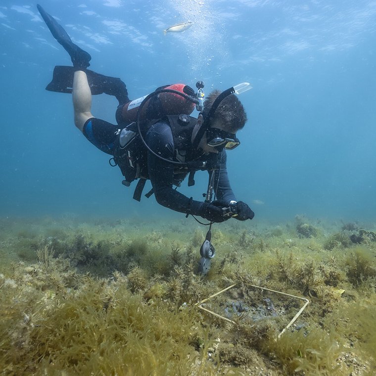 ROLEX Perpetual Planet Initiative 2024 ROLEX Perpetual Planet Initiative 2024