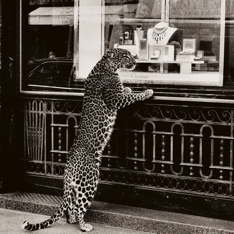 CARTIER AND PANTHÈRE